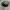 y2k Studed Cadethat  photo 4