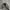 y2k Studed Cadethat  photo 7