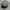 y2k Studed Cadethat  photo 6