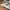 Nike Air Max 270 React White Black photo 2