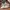 Nike Air Max 270 React White Black photo 1