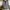 Blazer Vintage Outwear Floral  photo 2