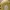 Sneakers Louis Vuitton LV Trainer size 7 photo 8