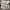 Sneakers Louis Vuitton LV Trainer Maxi photo 3