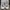 Sneakers Louis Vuitton LV Trainer Maxi photo 1