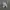 Adidas Streetwear Casual Sneakers Pria white photo 3
