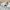 Zegna Luxury Minimalist Formal shirt Pria white photo 5