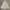 Zegna Luxury Minimalist Formal shirt Pria white photo 1