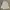 Zegna Luxury Minimalist Formal Shirt Pria White