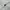Zegna Luxury Minimalist Formal shirt Pria white photo 3