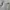 Zegna Luxury Minimalist Formal shirt Pria white photo 4