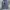 Celana Baggy Retro Ballon Ripped Jeans Gombrong S-Bin photo 2