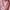 BRANDED Zara Pink Stripes Outer photo 2