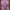 VintagePink Purple Blouse Outer photo 3