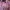 VintagePink Purple Blouse Outer photo 1