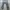 2000s Painter Levi’s 527 Low Boot Cut Jeans photo 4