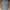 A.KURTZ Commando Military Army Hat photo 1