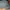 A.KURTZ Commando Military Army Hat photo 2