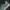 Adidas Indie Casual Sneakers Pria cream blue photo 5