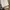 Carhartt Pocket T-shirt K87 DES photo 4