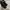 Valentino Garavani Designer Boots 