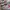 New Balance Indie Casual Sneakers Pria white red photo 2