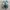 New Balance Gorpcore Casual Sneakers Pria white gray photo 5