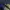 Adidas Indie Casual Sneakers Pria blue yellow photo 4