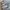 New Balance Gorpcore Casual Sneakers Pria white gray photo 2