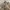 Burberry slip on sandal photo 1