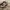 Burberry slip on sandal photo 5