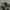 Adidas Indie Casual Sneakers Pria black gray photo 4