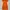 H&M orange dress photo 2