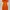 H&M Orange Dress