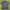 Original - Ami Paris Polo Shirt photo 1