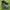 Timberland Black Leather Boots photo 1