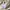 Vivienne Westwood Ivory Knit Sweater photo 9