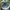 Von Dutch Trucker Hat Rare photo 8