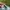 Von Dutch Trucker Hat Rare photo 7