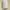 Athleta • Sweatshirt Silang Wanita Ivory Longsleeve  photo 5