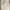 Athleta • Sweatshirt Silang Wanita Ivory Longsleeve  photo 3