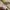 Japanese brand Lolita Coquette Crop top Wanita tan cream photo 3