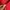 Polo Ralph Lauren Red Minimalist Polo Shirt photo 3