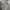 Guess Grey Polo Shirt photo 3