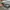 Guess Grey Polo Shirt photo 4