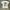 Japanese Brand M25Quared Farseeing Eyes photo 1