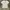 Japanese Brand M25Quared Farseeing Eyes photo 5