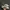 Adidas Indie Casual Sneakers Pria white tan photo 1