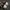 Adidas Indie Casual Sneakers Pria white tan photo 6