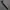 trackpants adidas climacool photo 2